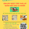 Sâm Dây Ngâm Mật Ong